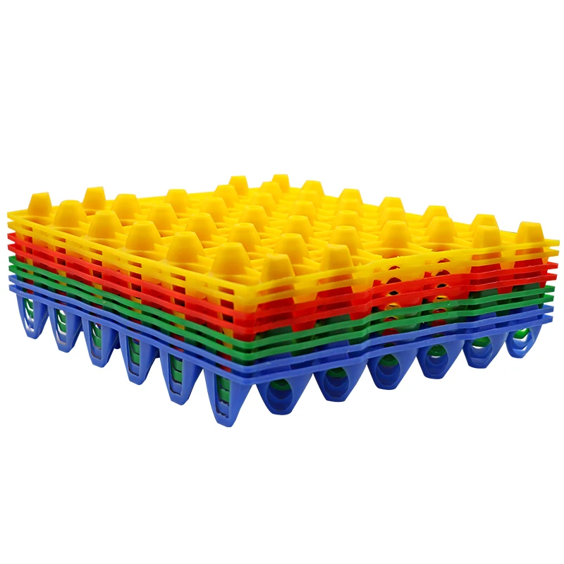 

Chicken Farm 2 pcs Egg Tray 29 * 29 * 5cm 30 Egg Storage Rack Chicken Farming Equipment Incubator Free Shipping
