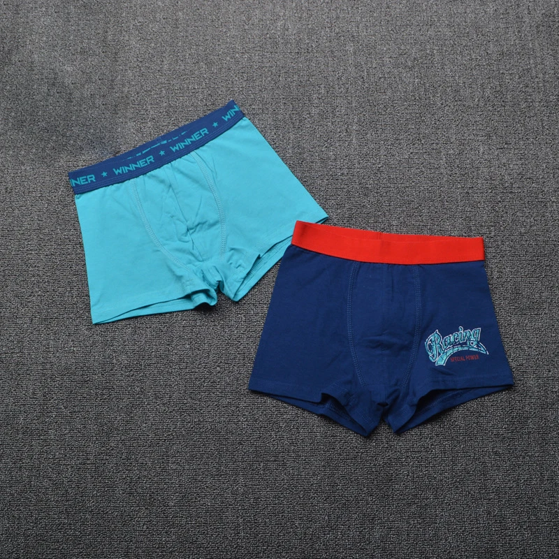 1/Piece 2018 Brand Kids Briefs Boys Underwear Christmas Designer