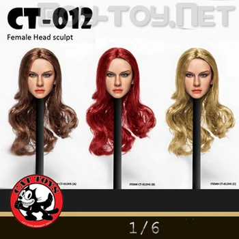 

CAT TOYS CT012 1/6 Female Head Sculpt European Lovely Head Sculptures for 12 inches DIY Collectible Figurines
