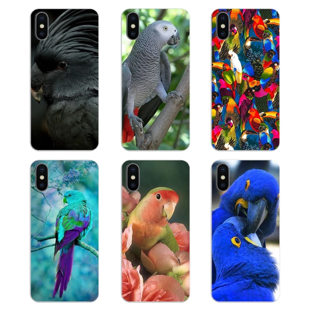 

For iPod Touch iPhone 4 4S 5 5S 5C SE 6 6S 7 8 X XR XS Plus MAX Transparent Soft Case Rainbow Garden flower Bird Ringneck Parrot