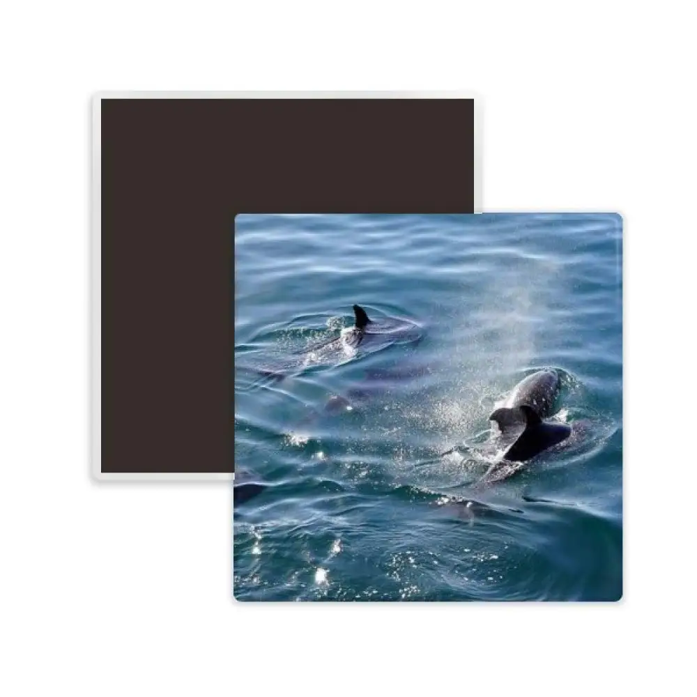 

DIYthinker Ocean Killer Whale Nature Picture Square Ceramics Fridge Magnet 2pcs