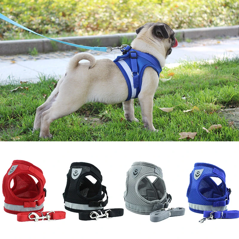 pug dog belt