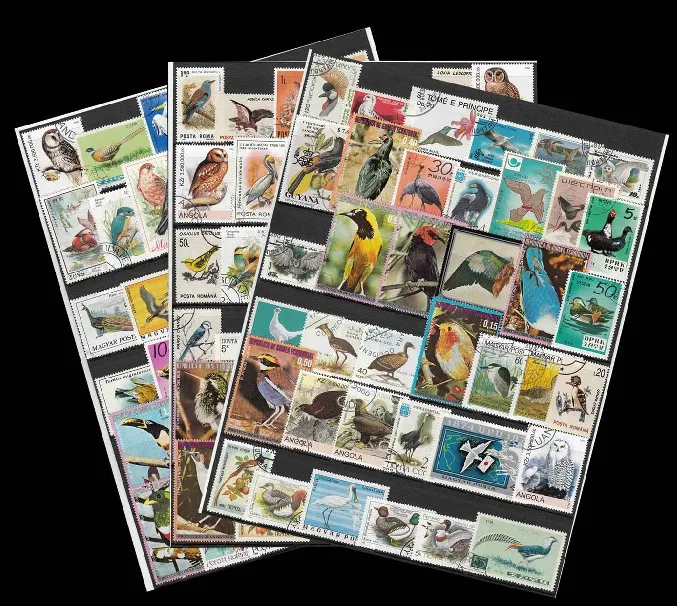 

50Pcs/Lot Bird All Different From Many Countries NO Repeat Unused Postage Stamps for Collecting