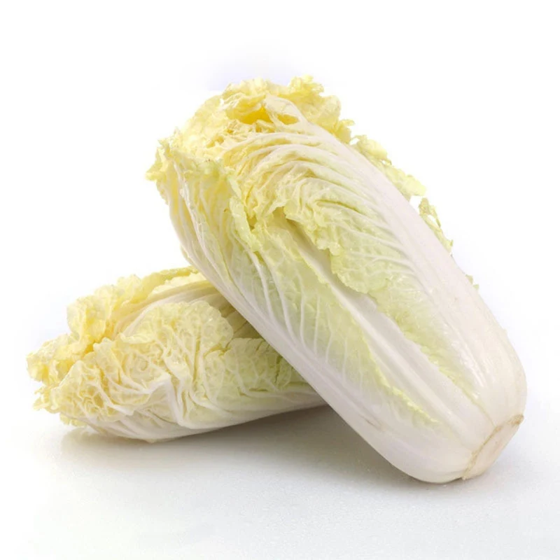 Hot Baby Cabbage Seeds Easy to Grow Strong in Winter Nutritious Cabbage