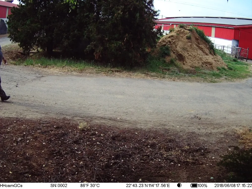 HTB1v6S3mBsmBKNjSZFsq6yXSVXaa