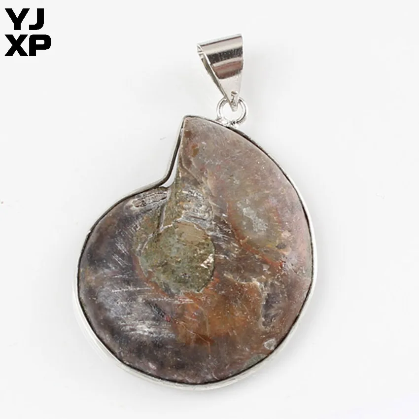 YJXP Silver Plated Unique Natural Stone Ammonite Seashell Snail Pendants Ocean Reliquiae Conch Animal Jewelry | Украшения и