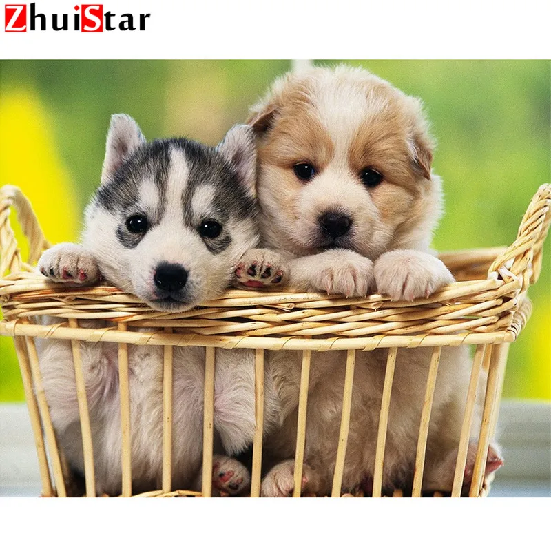 

Diamond Painting Cross Stitch Dog Picture of Rhinestone Full Square Diamond Embroidery Animal Bead Work Puppy DIY Hobby XY1