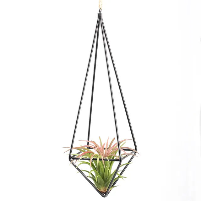 A Freestanding Hanging Tillandsia Air Plants Rack Metal Geometric Himmeli Swing Wrought Iron Rustic Plant A Freestanding Hanging Tillandsia Air Plants Rack Metal Geometric Himmeli Swing Wrought Iron Rustic Plant