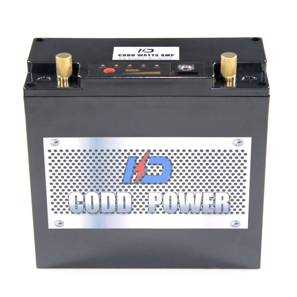 5 шт 12 8 V 30AH LiFePO4 батарея портативная коробка с BMS и зарядным устройством|Батарея