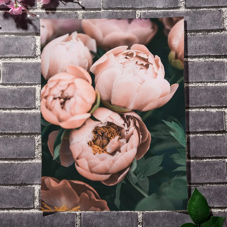 Розовая Роза Пион Хризантема кактус настенная живопись на холсте скандинавские плакаты и принты настенные картины для гостиной без рамы