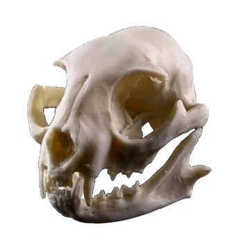 

Lucky Cat Skull Resin Statuette Skeleton Model Aquarium Fish Tank Landscape Decoration