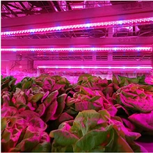10pcs 0.5m 27Red+9Blue 10W LED Grow Light Bars Light Strip Hydroponic Plant Flowers Vegatables Greens LED Grow Plant Growing