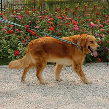 Dog Pets Leashes Collar Perro Grande Set Prros Chien Reflective Hunting Gps Multifunctional Rope Large Small Harness Dog LLM249