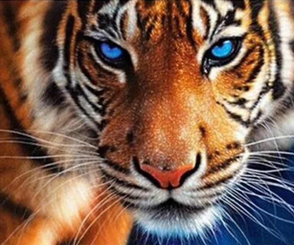 Download 450 Koleksi Gambar Harimau Biru  Gratis