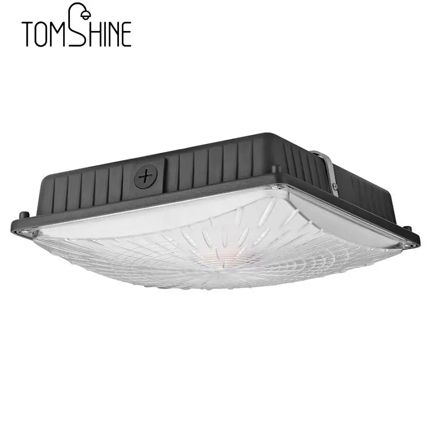 

65W LED Canopy Light Ceiling Lights 5000K AC100-277V Waterproof IP65 Porch Lights for Warehouse Shop Building
