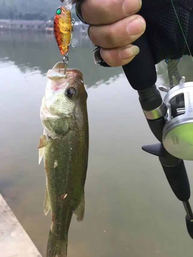 HENGJIA 9 шт. 4,5 см г 3,6 г мини Рыбалка приманки кривошипно Иска искусственные Crankbait снасти плавание наживка; рыболовный воблер бас Crazy Fish