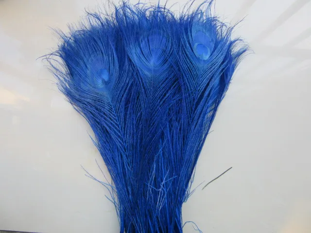 

50pcs/Lot Royal blue Peacock feathers eyes 25-30cm 10-12 Inchs Peacock plumage art performance clothing plume decoration