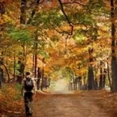 Kid with backpack walking in fall colors Poster Print (30 x 13)