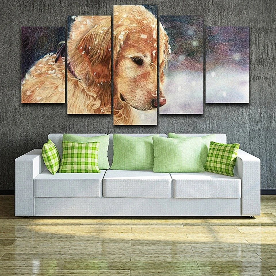 HTB1ys2OXLDH8KJjy1Xcq6ApdXXa8