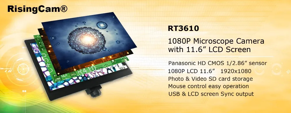 HTB1PWXAuv1TBuNjy0Fjq6yjyXXaX