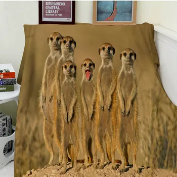 

Blankets Comfort Warmth Soft Cozy Air conditioning Easy Care Machine Wash Funny Meerkat FAMILY
