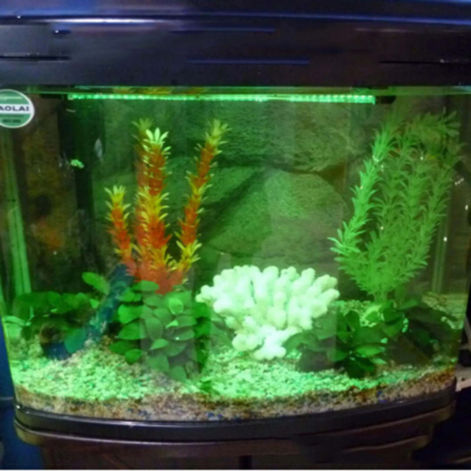 Fish Light Tube – deanlevinfo