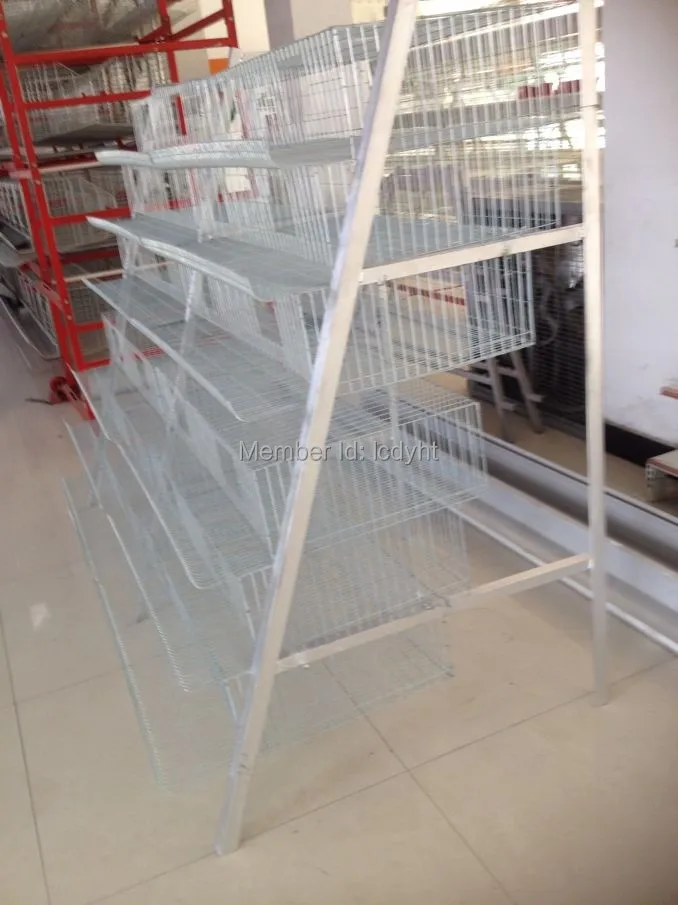 Automatic Quail Cage For Sale On Aliexpresscom Alibaba Group