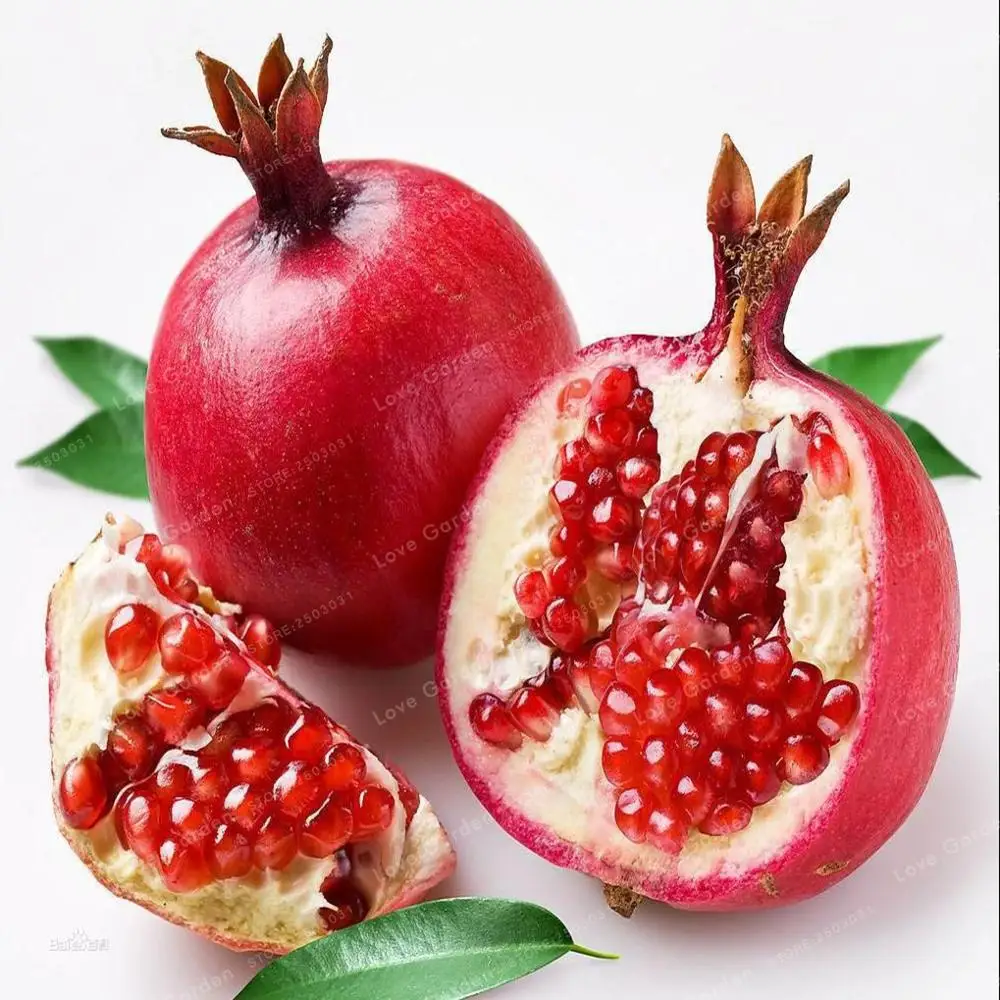 

20 Pcs Pomegranate Bonsai Very Sweet Delicious Fruit Bonsai Succulents Tree Bonsai Mini Bonsai For Home Gift