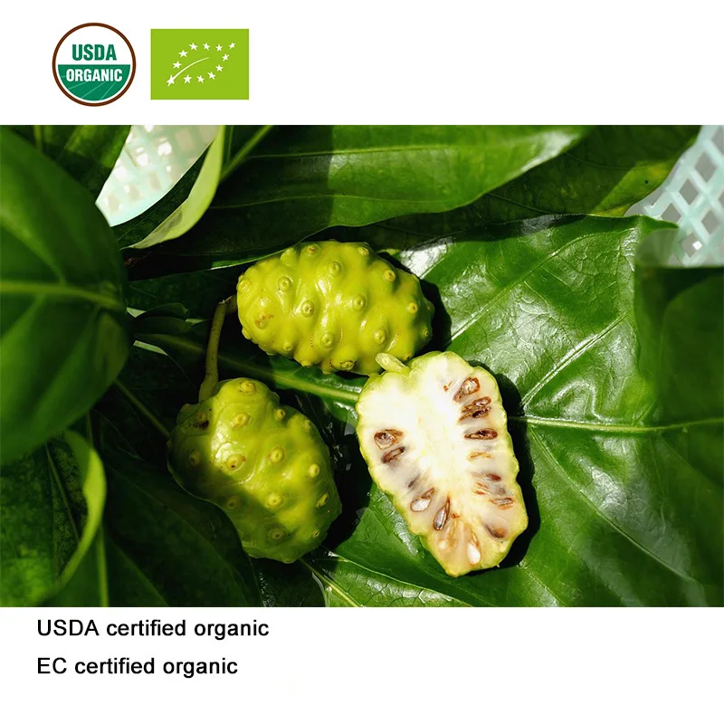 Сертифицированный USDA и EC органический фруктовый экстракт нони 10:1, экстракт нони 10:1 Экстракт Ягод нони 10:1
