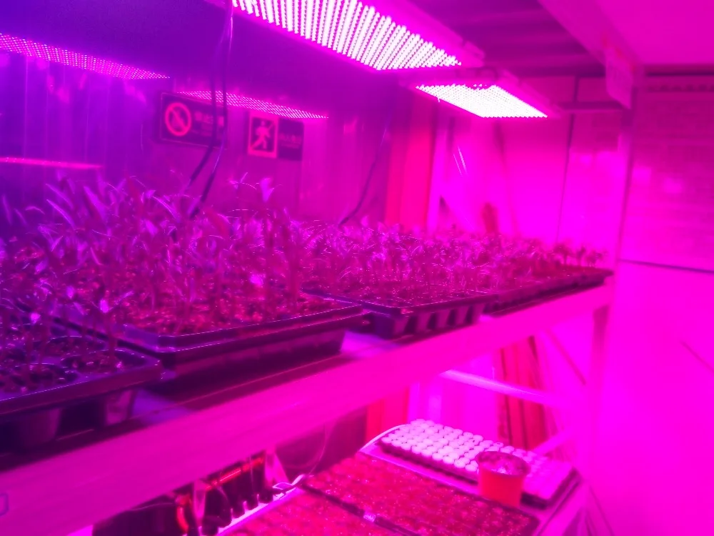 25 Вт 47W светодиодный Grow светильник Панель садоводства ing Group Quantum доска Veg & Bloom 4000K