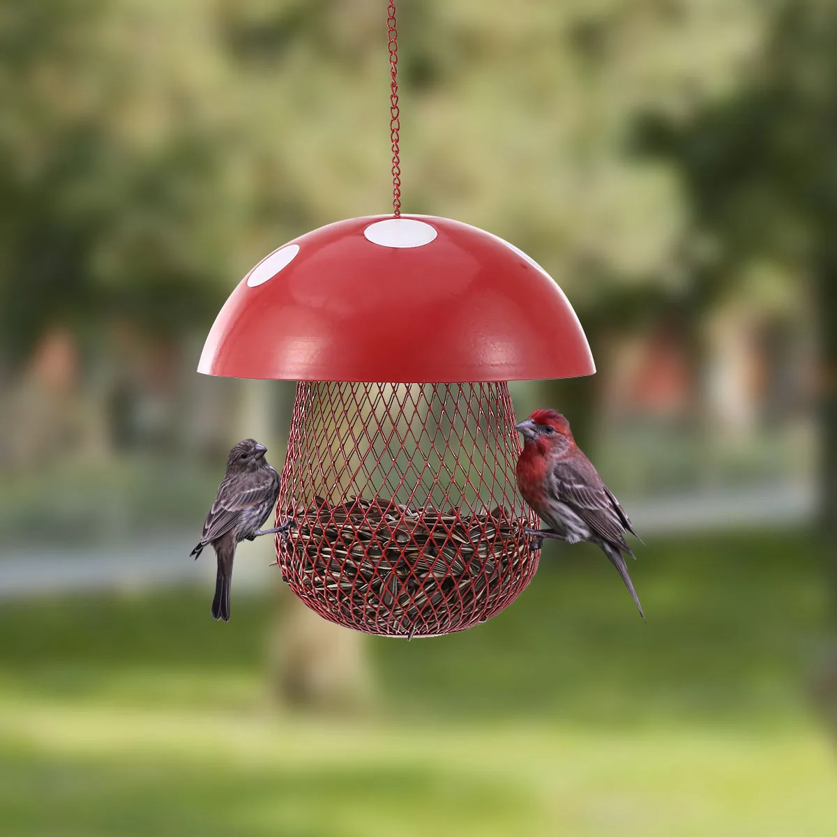 Tooarts Bird Feeder Mushroom Shaped Bird Feeder Wild Bird Seed