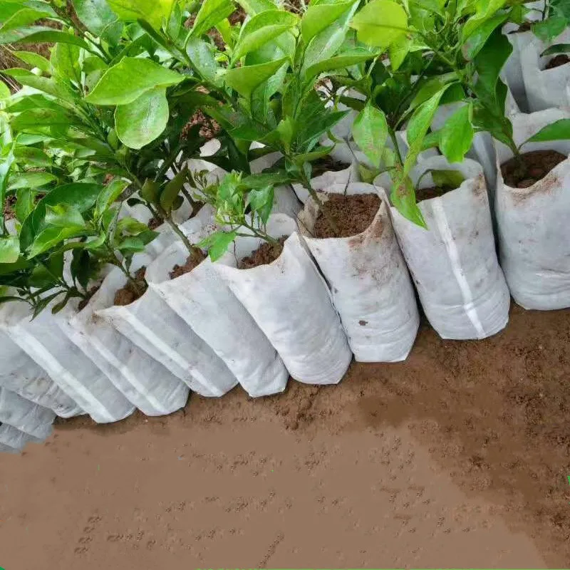 

100PCS Seedling Plants Nursery Bags Organic Biodegradable Grow Bags Fabric Eco-friendly Ventilate Growing Planting Bags