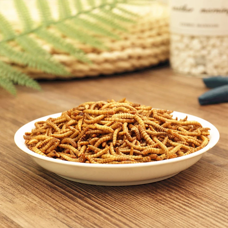 10 г/50 г сублимированный Mealworm муравей питание питательный протеин принадлежности
