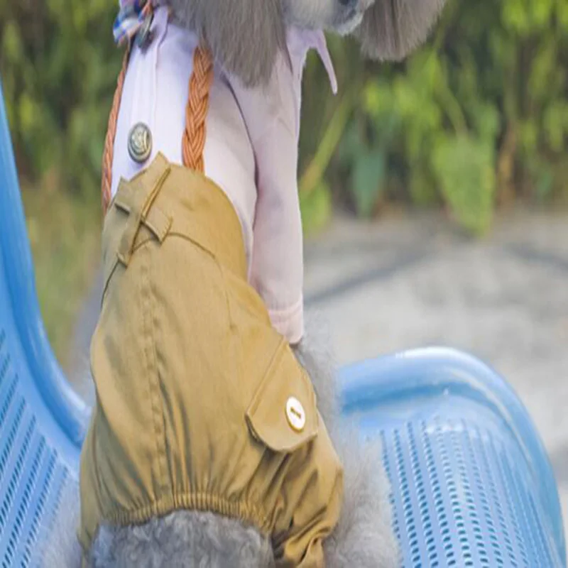 QQ20190416144636