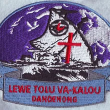 Вышитый на заказ логотип гладить на заплатках для одежды