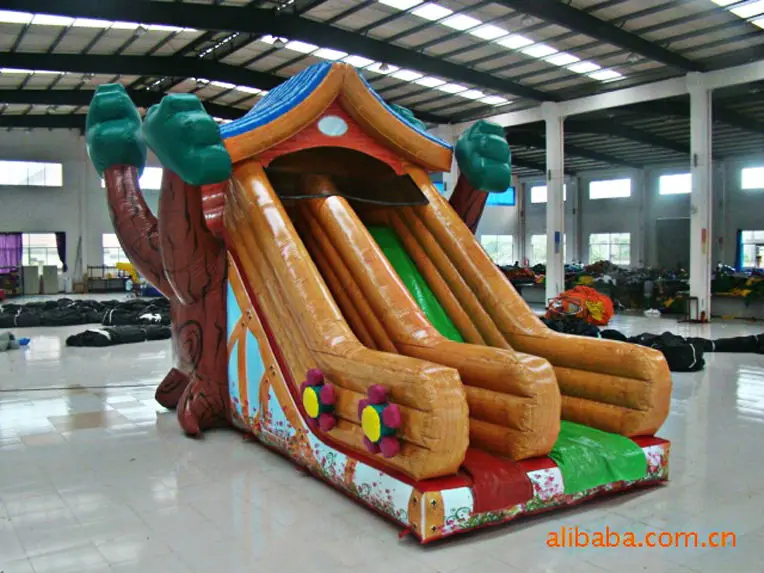 

slide inflatable