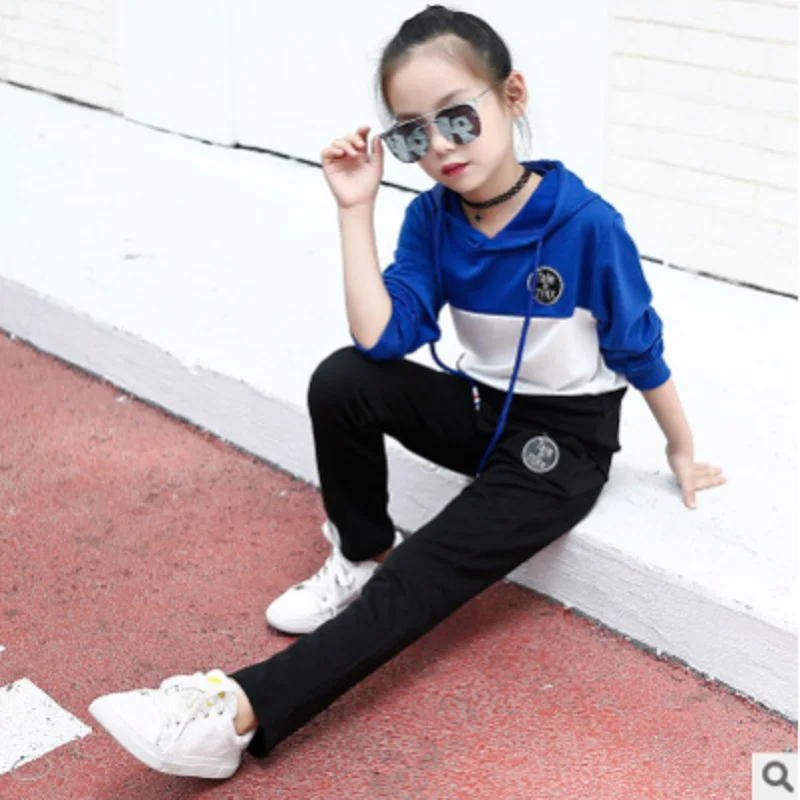 

Girls Sports Clothing Sets Suits 2018 Spring and Autumn Kids Clothes Sets Children's Clothing Suits Sets 2 Colors Size4-14 ly087