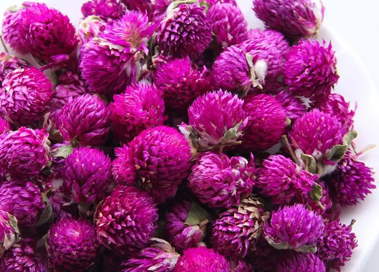 Gomphrena FLower