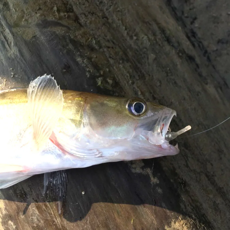 15 шт./пакет Afishlure один Мягкая приманка с хвостом 38 мм 0,36 г корня Рыбалка мягкая искусственная приманка воблер Пластик червяк личинка приманки небольшой приманки