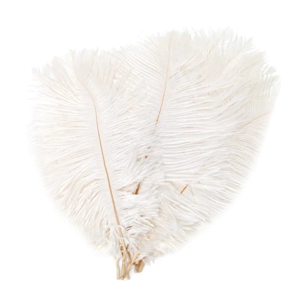 

Wholesale 500pcs High Quality White Ostrich Feathers 16-18 inches / 40-45cm pure white ostrich plumes for crafts dress accessory