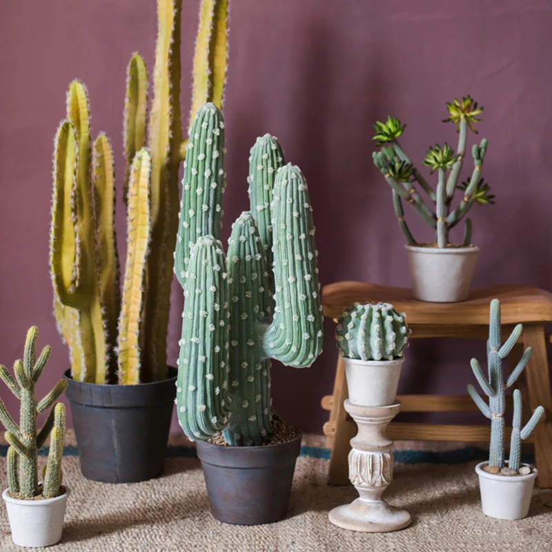 

Simulation of large potted cactus fairy Mexico Tianlun column column Decoration Floor Gift