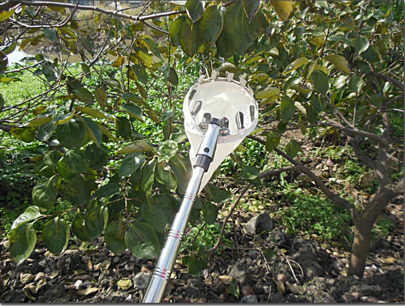 11 MPT Garden Tools Metal Fruit Picker Gardening Picking Apple Citrus Pear Peach High Branches Tree Picking Tool Hand Tools