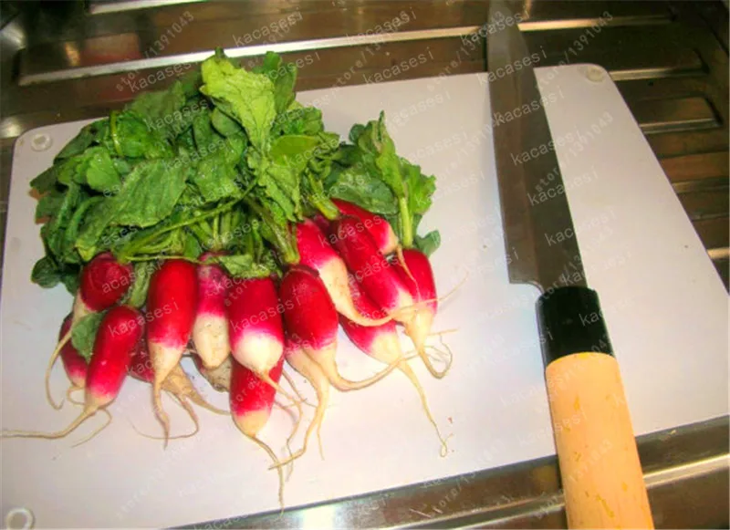 100 Pcs Rare Sausage Radish Bonsai Juicy And Nutritious Early Spring Radish Very Delicious Vegetable Garden Food Easy To Grow