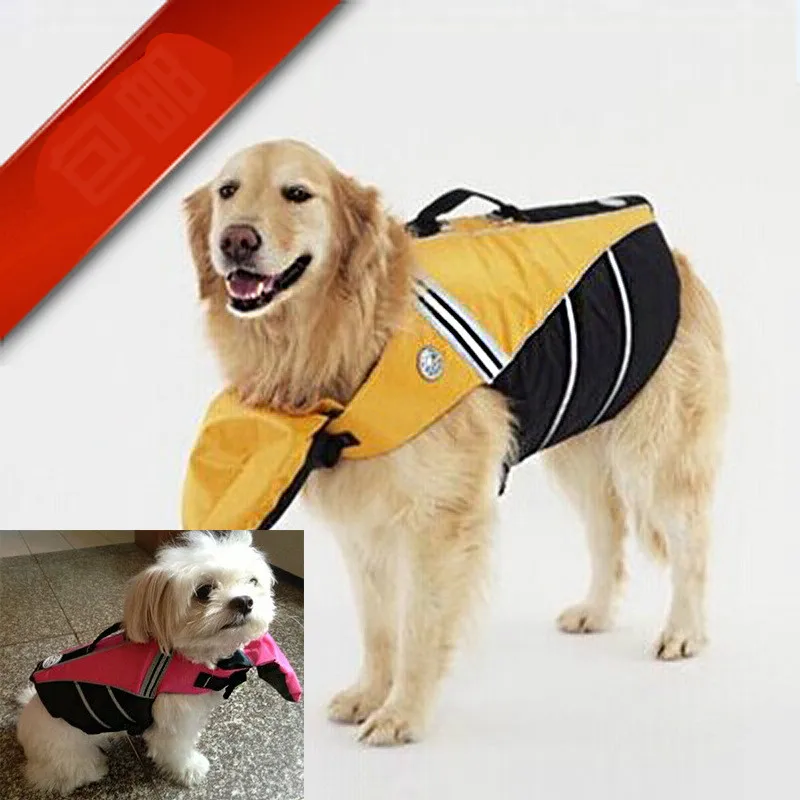 pitbull life jacket