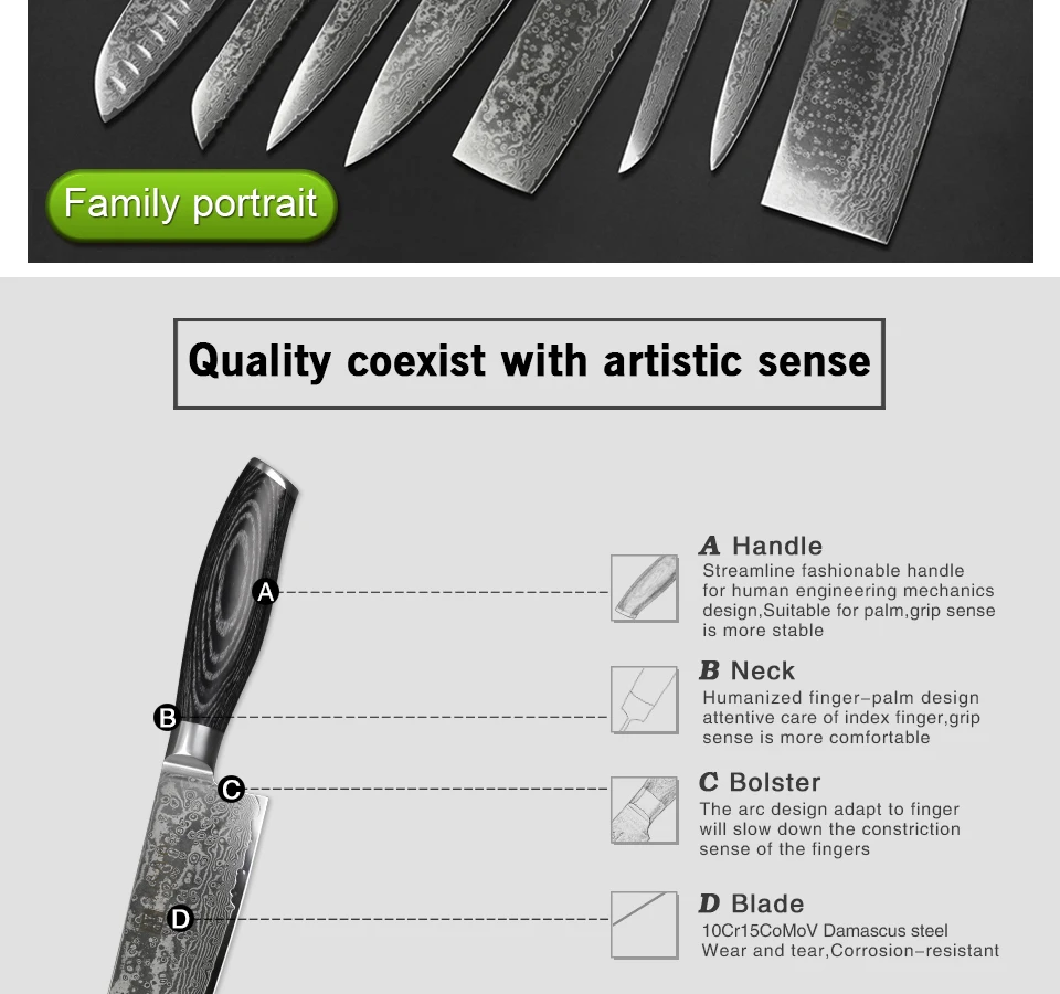 XINZUO 2 шт. набор кухонных ножей 67 слоев Дамаск 8 дюймов шеф-повара и 5 нож из высокоуглеродистой нержавеющей стали Seel Pakka деревянной ручкой