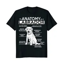 Новинка, Повседневная футболка с коротким рукавом и анатомией Лабрадора, летняя повседневная мужская футболка хорошего качества