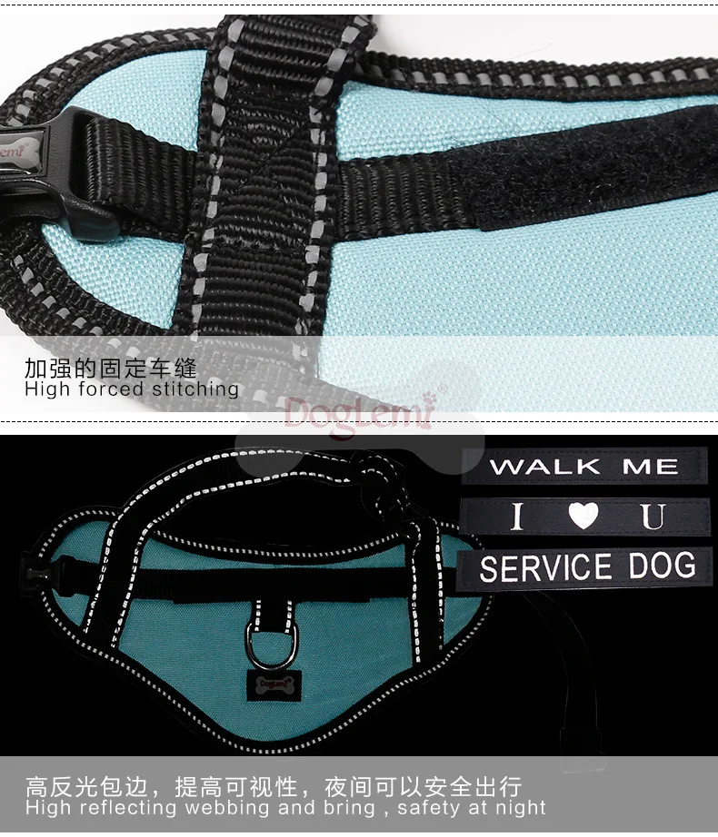 DLM002-19