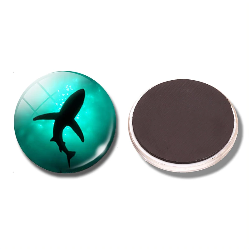 Shark 30 MM Fridge Sea Shark Beach Marine Organism Glass Dome