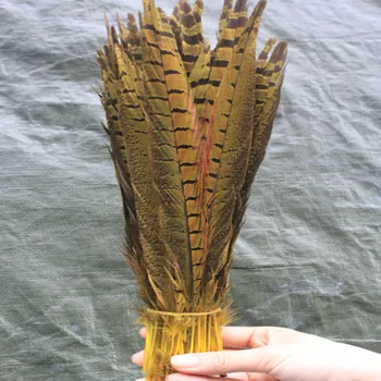 

Wholesale 100 pcs Yellow Pheasants feathers 10-12inches/25-30cm Christmas decoration clothing accessories