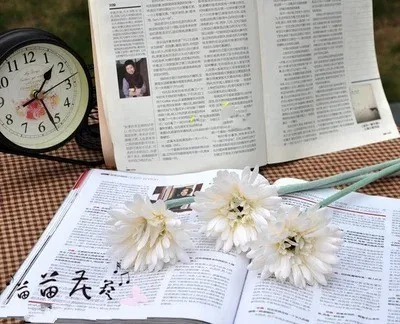 Online kaufen groÃhandel weiß gerbera aus china weiß ...